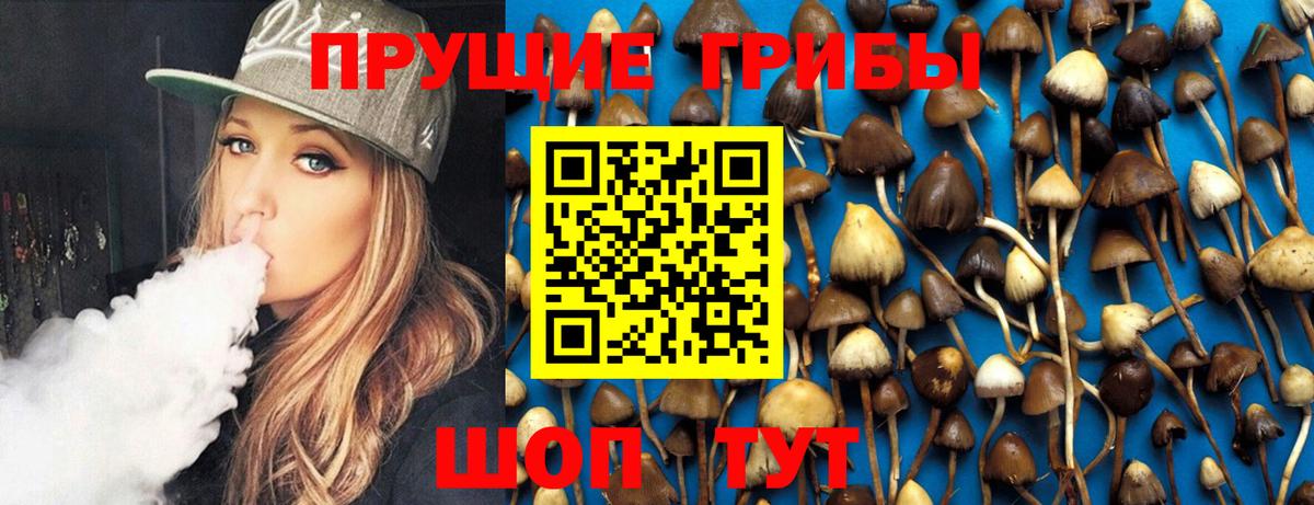 Муравленко  закладка  Вход с VPN  Галлюциногенные грибы Psilocybe 